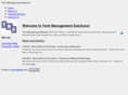 techmgtsolutions.com