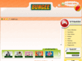 bungee.com.br