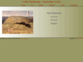 colinpalethorpe.com