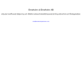 erneholmpartners.com