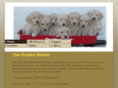 goldenretriet.com