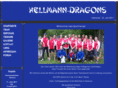 hellmann-dragons.com