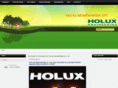 holuxengineering.com