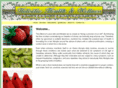 naturalintervention.com