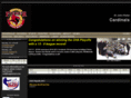 sjfhockey.com