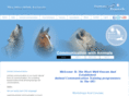 animalcommunicationtraining.co.uk