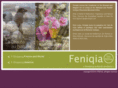 feniqia.com