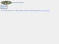 duckpondconsulting.com