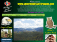 smokymountaintopcabins.com