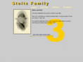 steitz.org
