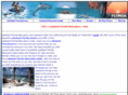 lakelandfloridarelocation.com