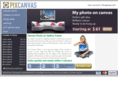 pixcanvas.com