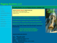 sparsystems.net