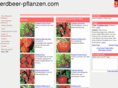 erdbeer-pflanzen.com