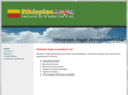 ethioanglo.com