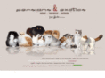 perserkatzen.com