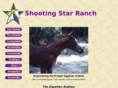 shootingstararabians.com