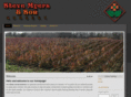 stevemyersandson.com