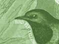 bird-fly.com