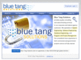 bluetangsolutions.com
