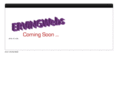 ervingwebs.com
