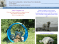 oceanviewlabradoodles.com