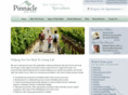 pinnaclepaincenter.com