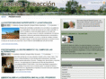 accionyreaccion.com