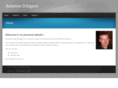 antoine-diligent.com