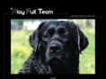 playfullteam.com