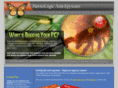 regoptimizer.com