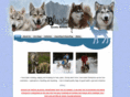 blustag-arcticbreeds.co.uk