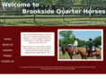 brooksidequarterhorses.com
