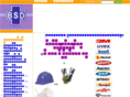bsdsafety.com