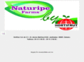 hortifrutmx.com