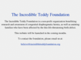 incredibleteddyfoundation.com