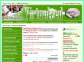 virtualzed.com
