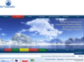bluemountainsystems.co.uk