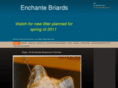 enchantebriards.com