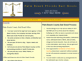 palmbeachbailbondsman.com