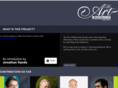 theartofeffectiveness.com