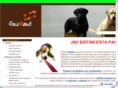 adiestramientoperros.info