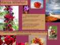 marisamillefiori.com