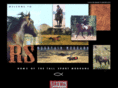 rsmtnmorganhorses.com