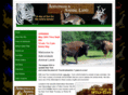 adirondackanimalland.com