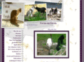 focusonferals.org