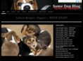 somedogblog.com