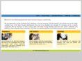brainhuntindia.com