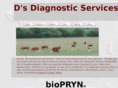 ddiagnosticservices.com