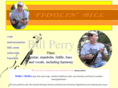 fiddlinbill.net